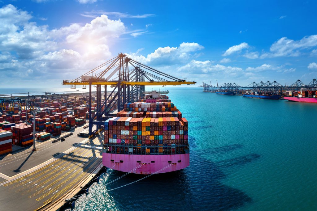 Import Export Business