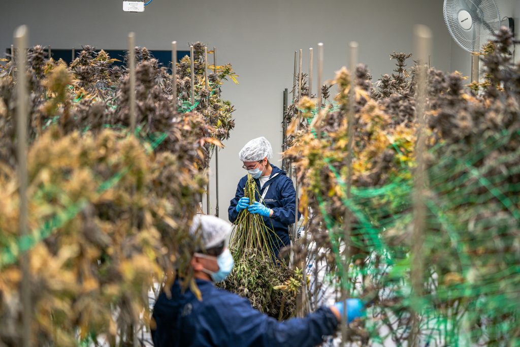 agritech